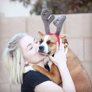 Meet your Posher, Bre