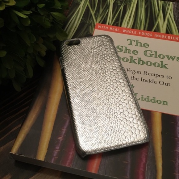 Silver iPhone 6/6s case