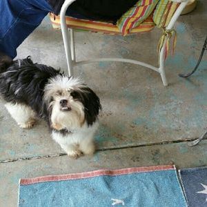 Meet your Posher, Kay