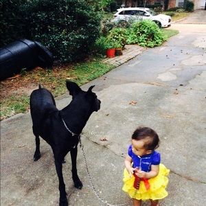 Meet your Posher, Glenda