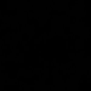 Meet your Posher, Briana