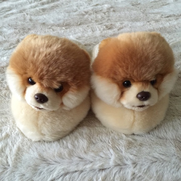 chow chow slippers