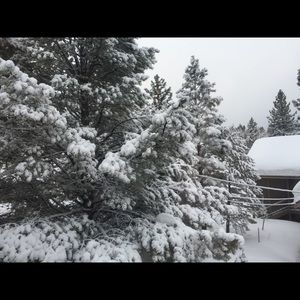 Meet your Posher, Kat