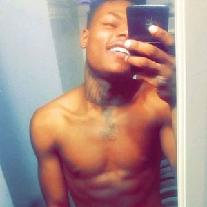 Meet your Posher, Sylvester