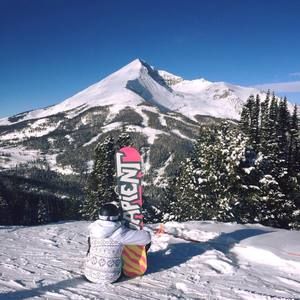 Meet your Posher, Paige