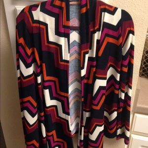 Tapered multi colored sweater.