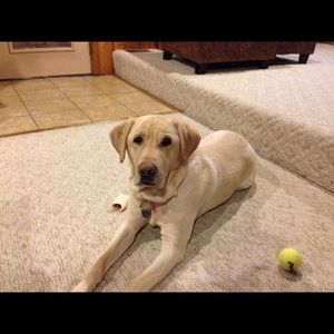 Meet your Posher, Catrina