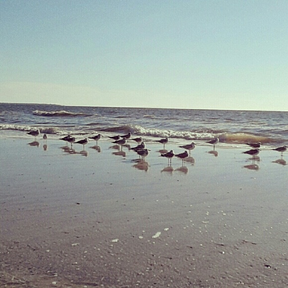 Meet your Posher, Chae