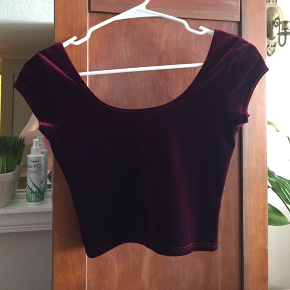 Burgundy velvet crop top