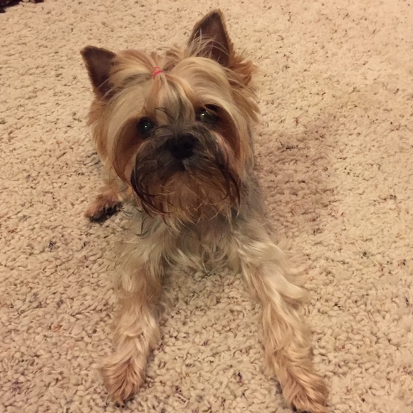 Meet your Posher, Kristal - Picture 1 of 1