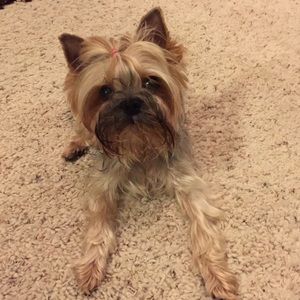 Meet your Posher, Kristal