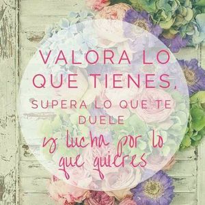 Meet your Posher, Idania