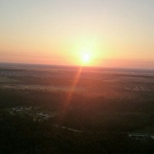 Meet your Posher, Frances