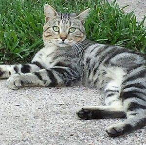 Meet your Posher, Myra