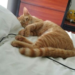 Meet your Posher, Shae