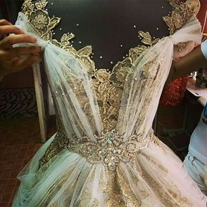 Meet your Posher, Bella