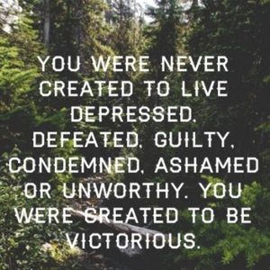 Meet your Posher, Gracie