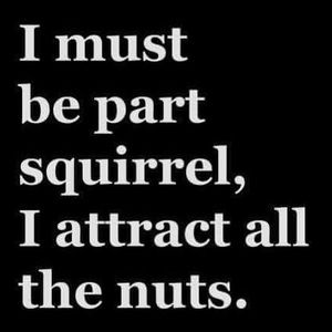 Meet your Posher, Quinn