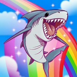 Meet your Posher, Ciara