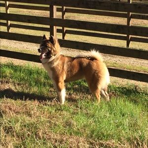 Meet your Posher, Jenna