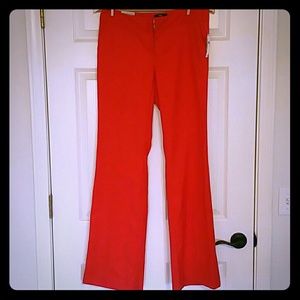 NWT Coral Gap Pants 6 Long Stretch  (Aubrey)