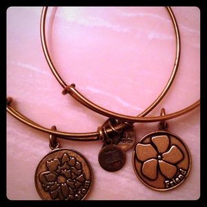 2 Alex and Ani bracelets