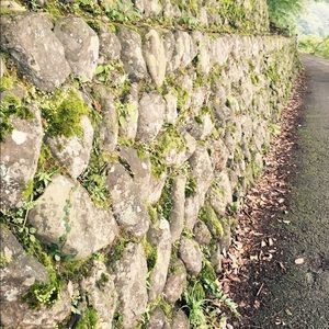 Meet your Posher, Belle