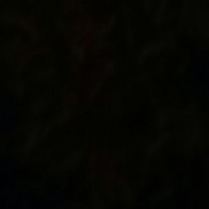 Meet your Posher, Carlos