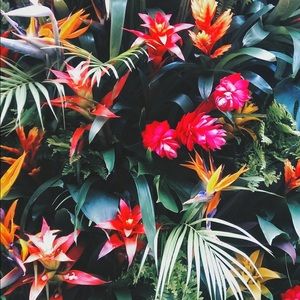 Meet your Posher, Justin