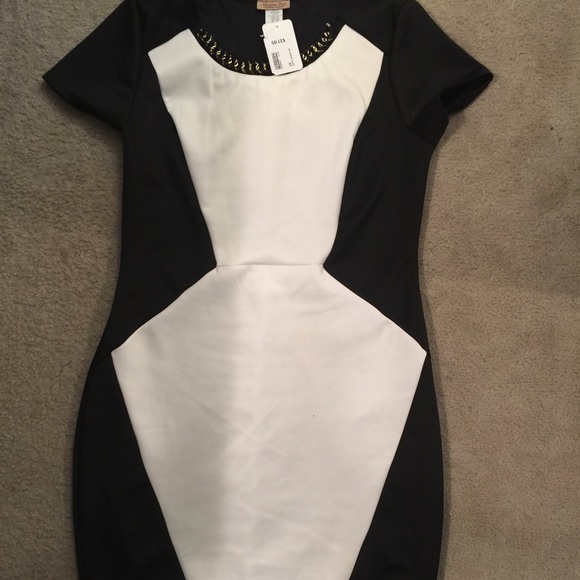 Plus Size Dress