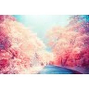 Meet your Posher, Elda