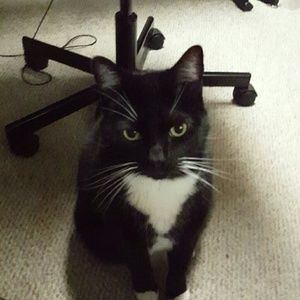 Meet your Posher, Jane