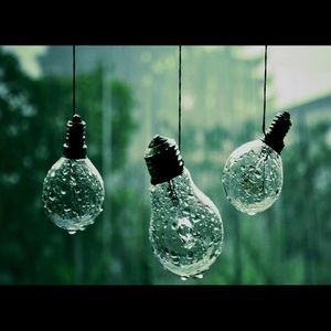 Meet your Posher, Cassidy