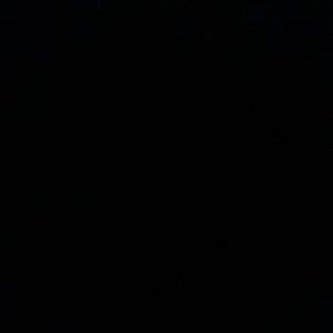 Meet your Posher, Dina