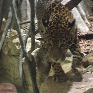 Meet your Posher, Crystal