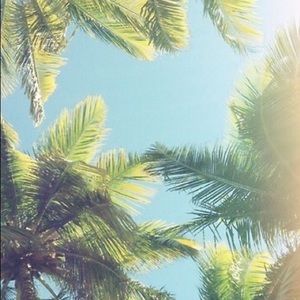 Meet your Posher, Mckenna