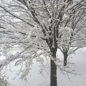 Meet your Posher, Teri