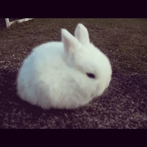 Meet your Posher, Ewwyika - Picture 1 of 1