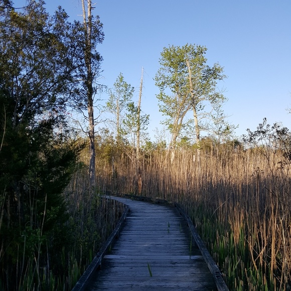 Meet your Posher, Robyn - Picture 8 of 8