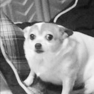 Meet your Posher, Jamie