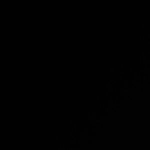 Meet your Posher, Ron