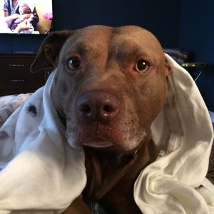 Meet your Posher, Maria