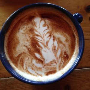 Meet your Posher, Stormy