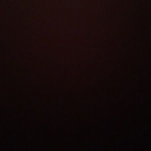 Meet your Posher, Maxie