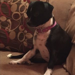 Meet your Posher, Samantha