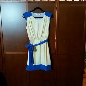 Pale Yellow and Blue Dress