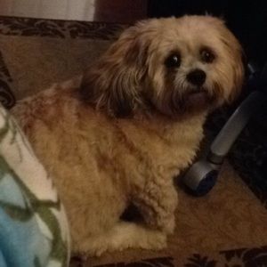 Meet your Posher, Jasmine