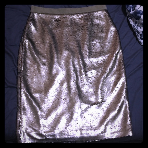 Banana Republic silver sequin skirt! Worn once.