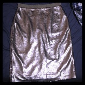 Banana Republic silver sequin skirt! Worn once.
