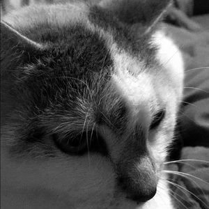 Meet your Posher, Colleen